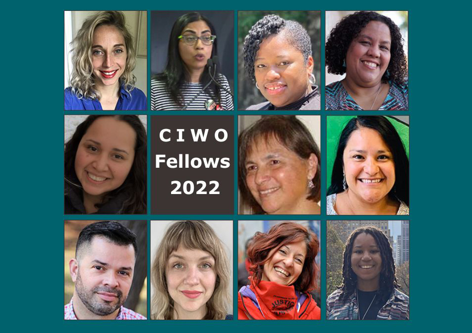 Image of CIWO Fellows