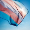 Image of pride flag