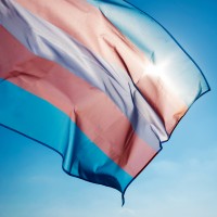 Image of pride flag